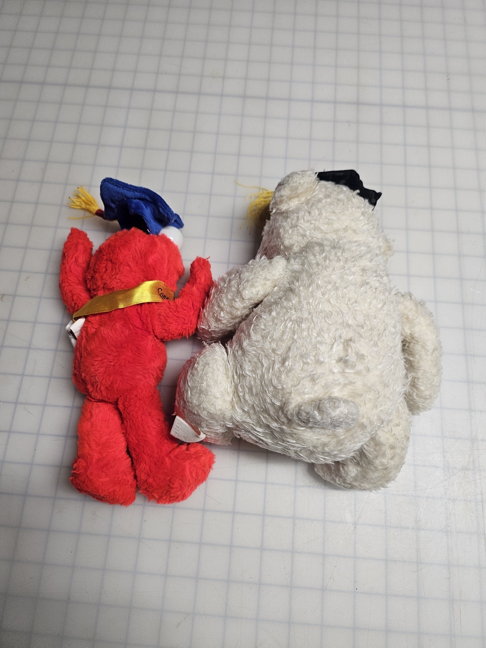 Graduation Plushes - Picture 3 of 3